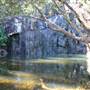 Whitsundays - Cedar Creek Falls
