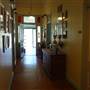 O'Reilly's Canungra Valley Vineyards