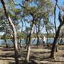 Mangroves meet Ocean - Tallebudgera Creek Conservation Park