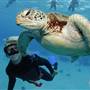 Great Barrier Reef