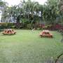 Central Hotel - Port Douglas