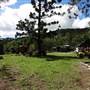The Backlot, Bonogin - Overview