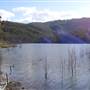 Hinze Dam - Western Boat Ramp