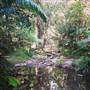 Spring Creek - near Port Douglas