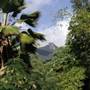 The Botanical Ark Retreat