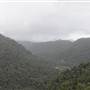 Mamu Tropical Skywalk