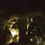 Chillagoe Caves - Donna Cave