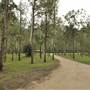 Murray Falls (Girramay National Park)