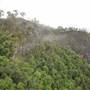 Wallaman Falls