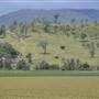 Country Valley Road