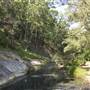 Venus Pools, Stream & Forest