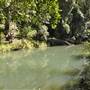 Venus Pools, Stream & Forest