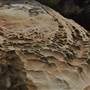 Mulgumpin (Moreton Island) - Cape Moreton Beach