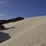 Mulgumpin (Moreton Island) - Big Sand Hills