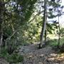 The Backlot, Bonogin - Dry River Bed