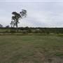 Bushland / Nature Reserve