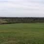 Bushland / Nature Reserve