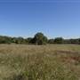 Fort Lytton National Park - General