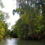 Mulgrave River (Cairns Region)