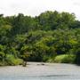 Mulgrave River (Cairns Region)