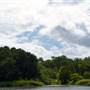 Mulgrave River (Cairns Region)
