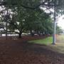 Oxford St, Bulimba