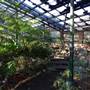 Queenspark Greenhouse