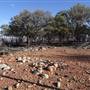 Longreach - Mount Slowcombe