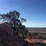 Mount SlowcombeRoad