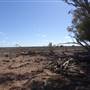 Isisford-Emmet Rd