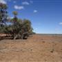 Isisford-Emmet Rd