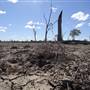Isisford-Emmet Rd