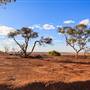 Age Of Dinosaurs (Rangelands)