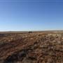 Winton - Kennedy Development Rd