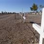 Winton Cemetery