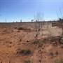 Winton-Jundah Road