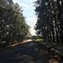 Pine Forest, Riverside Skate Park & Open Sports Fields - Pizzey Park