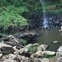 Purling Brook Falls - Springbrook National Park