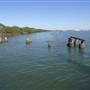 Fort Lytton National Park - Dock and Mooring