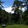 Hinterland Jungle Backlot