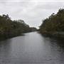 Harrys Hut Area (Noosa Everglades)