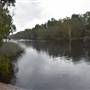 Harrys Hut Area (Noosa Everglades)