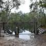 Harrys Hut Area (Noosa Everglades)