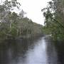 The Narrows (Noosa Everglades)