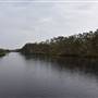 Lake Como (Noosa Everglades)