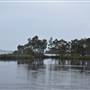 Fig Tree Point (Noosa Everglades)