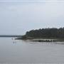 Lake Cootharaba (Noosa Everglades)