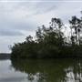 Johns Landing (Noosa Everglades)