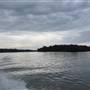 Lake Cooroibah (Noosa Everglades)