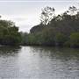 Noosa Everglades - Makepeace Island